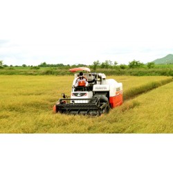 2-BIGDEL KUBOTA DC-70G