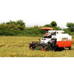 2-BIGDEL KUBOTA DC-70G