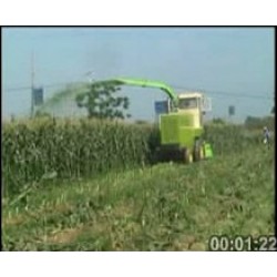 2-BIGDEL 2 SIRALI MISIR SILAJ MAKİNESİ