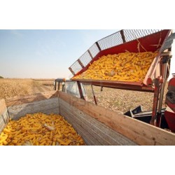 3-BIGDEL 3 SIRALI MISIR SILAJ VE KOÇAN TOPLAYICI