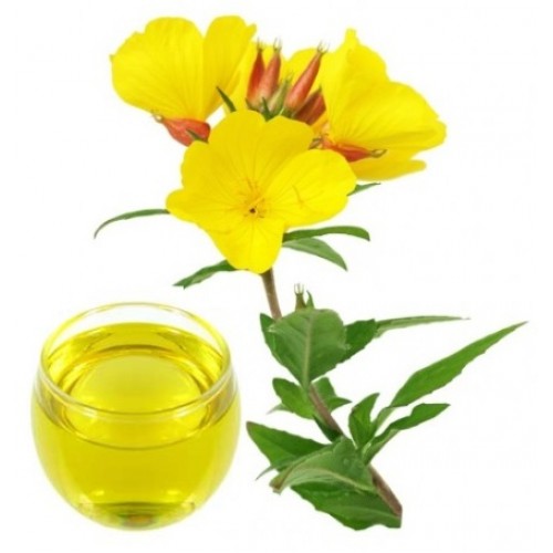 1 Çuha çiçeği yağı