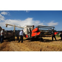 2-BIGDEL KUBOTA DC-95GM Plus