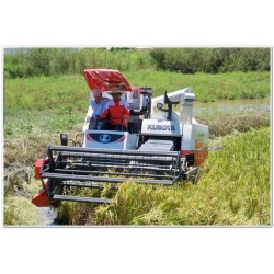 2-BIGDEL KUBOTA DC-95GM Plus