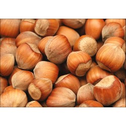 1 Fındık Türk Malı