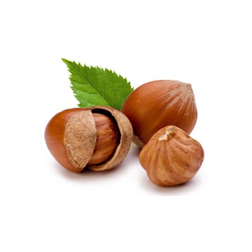 1 Fındık Türk Malı