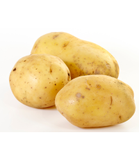 1 Patates Türk Malı