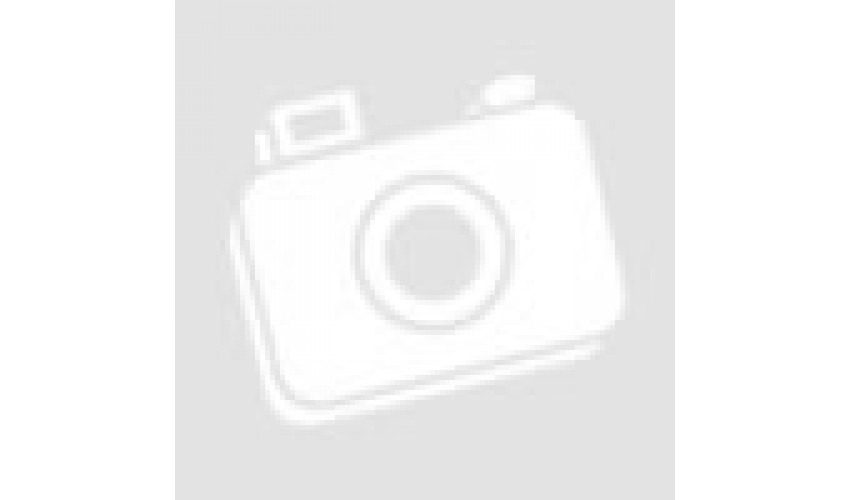 3-Mısır Silajı aylık 10.000 ton tedarik etme yeteneği 1. sınıf - 2. sınıf